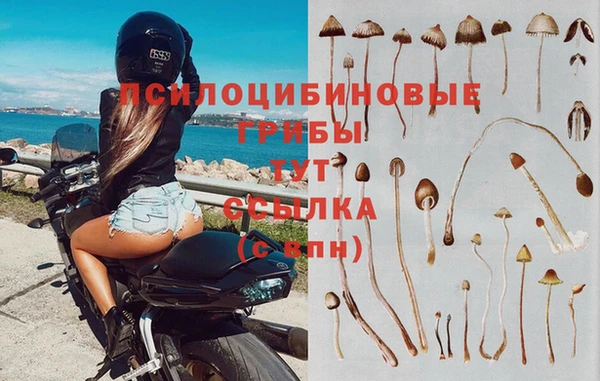 мяу мяу мука Балабаново
