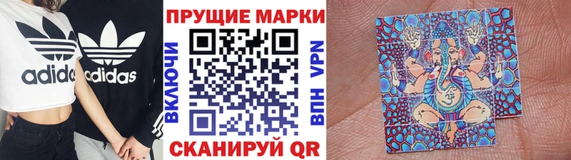 ссылка на мегу ССЫЛКА  Курчалой  Марки NBOMe 1500мкг 
