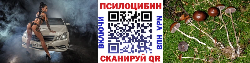 Псилоцибиновые грибы Cubensis  закладка  Курчалой 